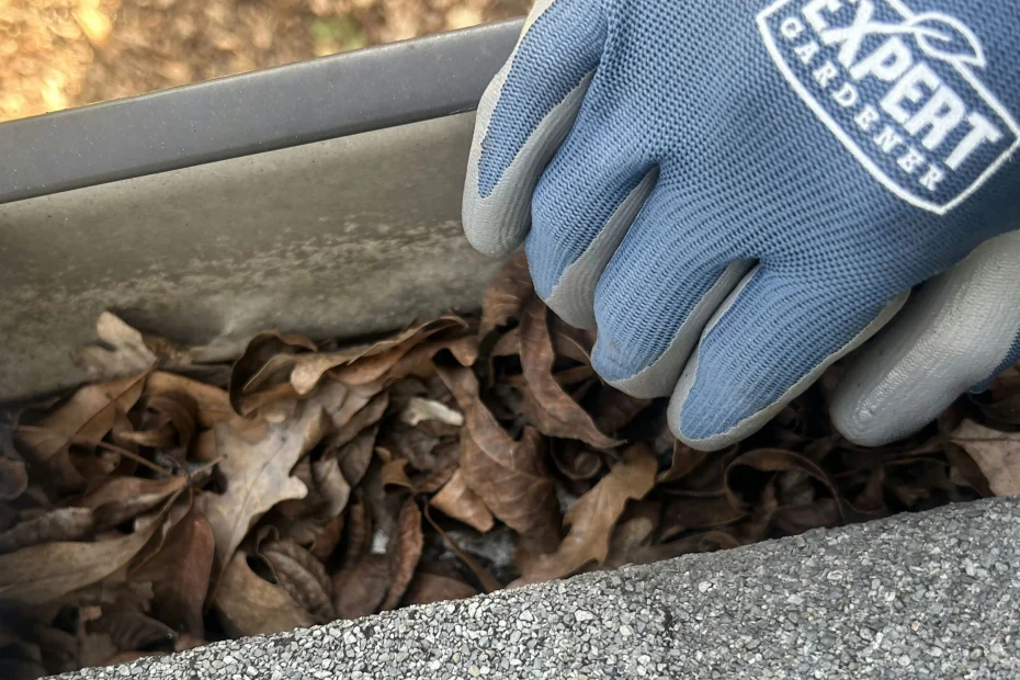 Gutter Cleaning League City, TX